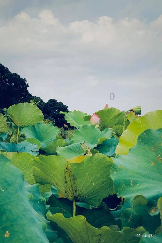 镇魔曲