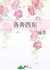 逃出猫头鹰岛