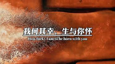 高钾冲施肥发财树能用吗有毒吗？游戏画面