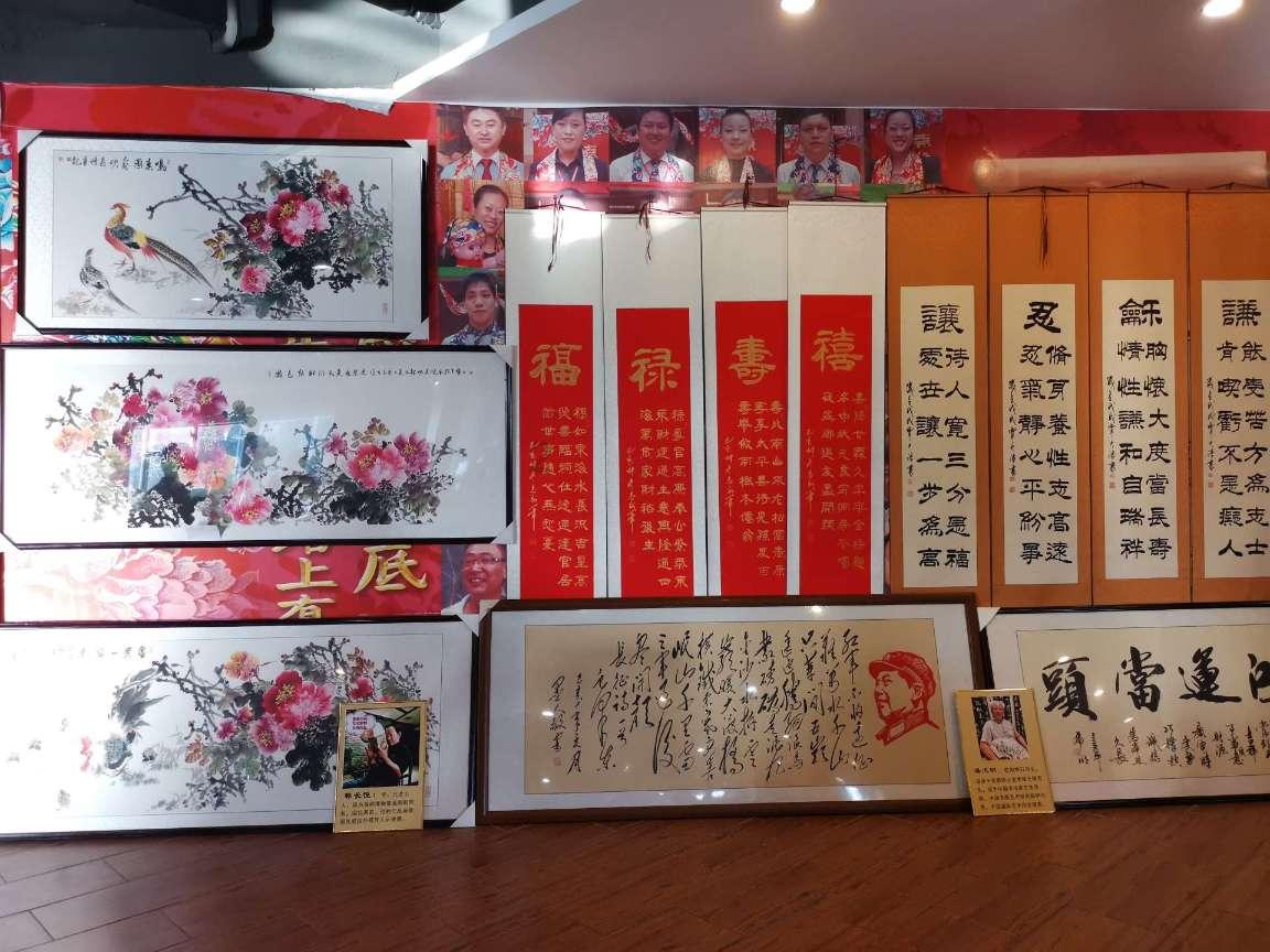 漂亮鹦鹉救援