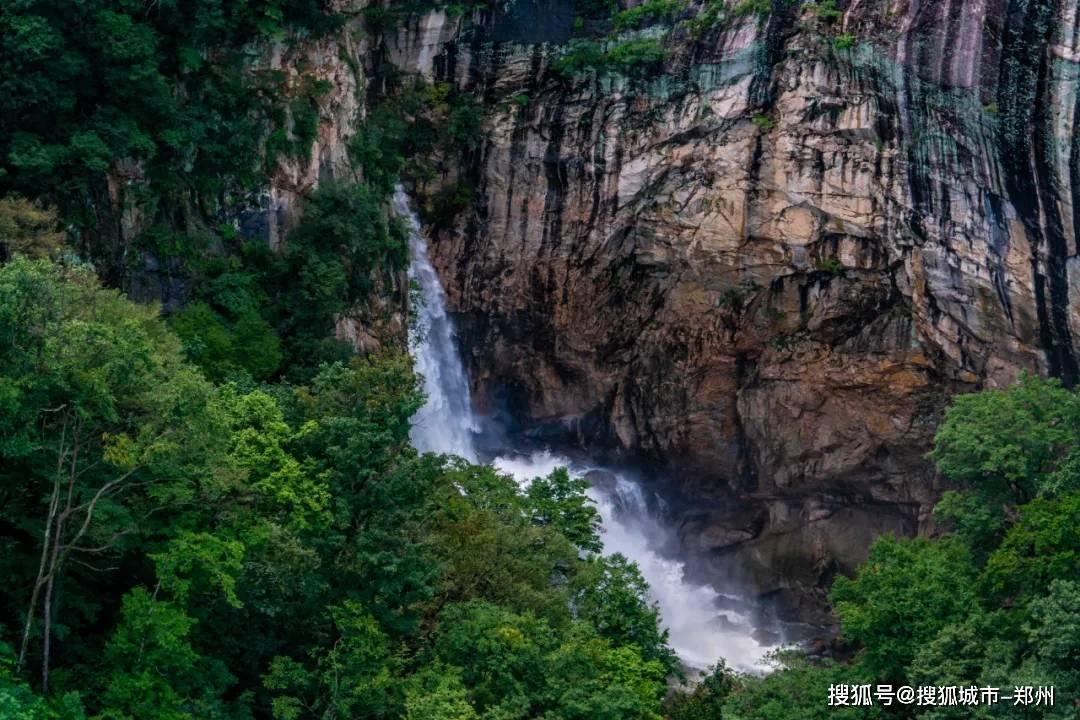 逃离游戏研究中心