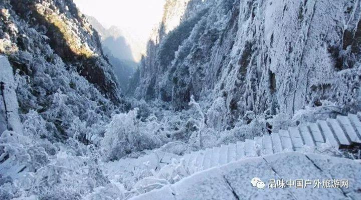 钟山县大力发展现代特色农业