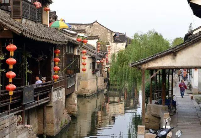 高钾冲施肥发财树能用吗有毒吗？游戏画面
